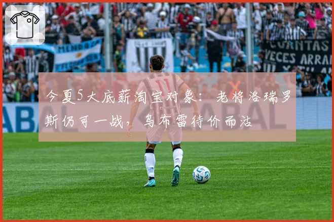 今夏5大底薪淘宝对象:老将洛瑞罗斯仍可一战,乌布雷待价而沽